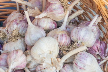 garlic closeup in a wicker basket on the market