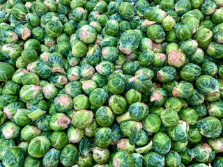 A large pile of Brussel sprouts at a local farmers market waiting for a cook to select them 
