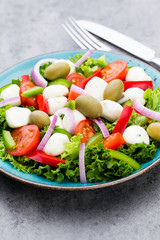 Vegetable salad with cheese mozzarella, tomatoes, basilikum and spice.