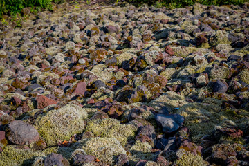 Balade dans le Volcan de Lemptégy