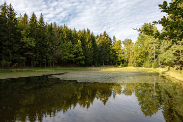 Fototapeta na wymiar forest lake in autumn