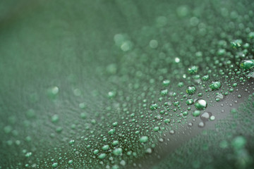 Closeup rain drops on car glass with hydrophobic coating