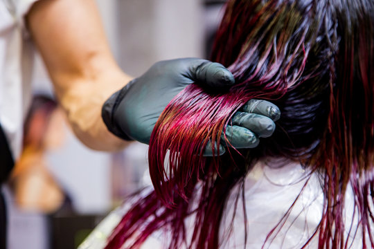 Professional hairdresser dyeing hair. Multicolor with stretching coloring - Powered by Adobe