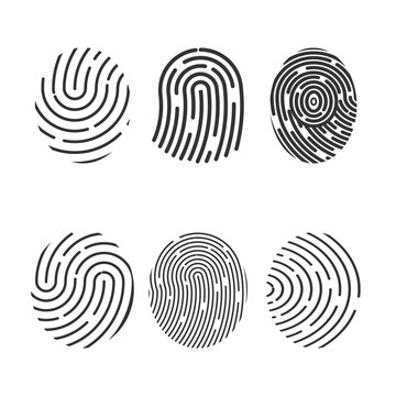 Fingerprint icon. Set. Identification symbol. Vector illustration, flat design.