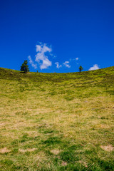 Dans le cratère du Puy Pariou  en Auvergne
