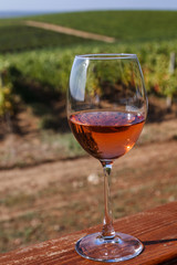 Autumn landscape with a glass of rose wine on the background of a vineyard.