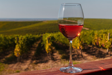 Autumn landscape with a glass of rose wine on the background of a vineyard.