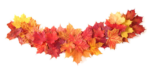 Naklejka na ściany i meble Isolated Autumn Leaves