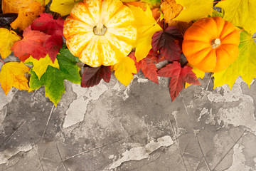 Harvest pumpkin with fall multicolored leaves, flat lay scene border, copy space on gray stone