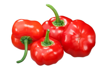 Aji Brazilian Pumpkin peppers, paths