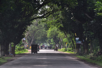 rural road alley in Bangladesh