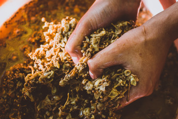 crushed grapes wine making