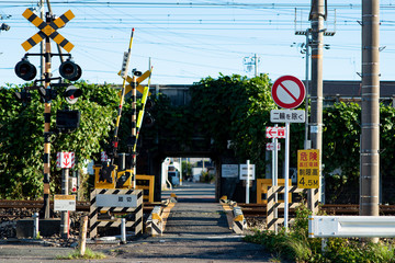 緑に包まれた踏切