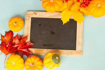 orange raw pumpkins harvest with fall leaves and berries on blue table, copy space on blackboard