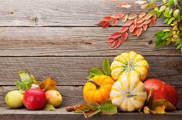 Autumn with pumpkins and colorful leaves