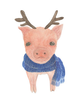 watercolor painting a funny pig in a blue scarf and with deer horns