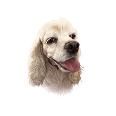 Cocker Spaniel is a breed of hunting, gun dog. Drawing of a cute dog isolated on white background. Animal collection. Art background for design. Hand Painted Illustration of Pet. Good for T-shirt