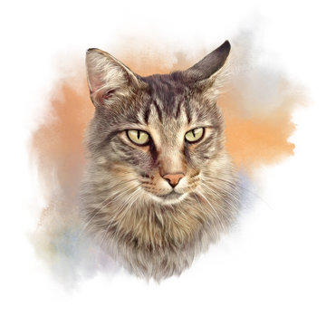 Cute cat. Watercolor portrait of a cat. Drawing of a cat with green eyes executed in watercolor. Good for print on pillow, T-shirt. Art background, banner for pet shop. Hand painted illustration.