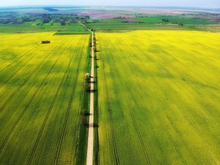 Obraz premium DCIM/105MEDIA/DJI_0933.JPG