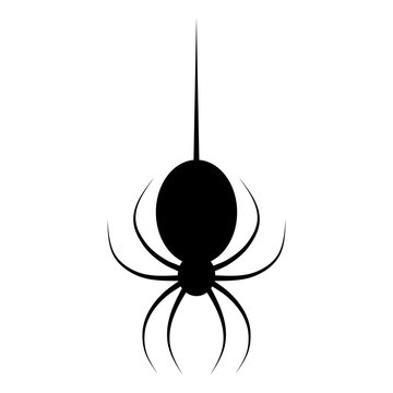 Minimalist, flat spider icon. Black silhouette. Isolated on white