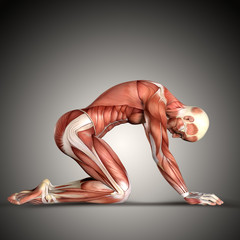3D render of a  male medical figure in kneeling position