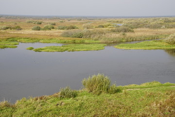 Autumn landscape. Floodplain of the Berezina River