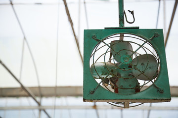 old aged vintage retro rustic green indoor ceiling mechanical metal fan blower for air ventilation, temperature cooling control in greenhouse, plantation, agriculture industry background concept