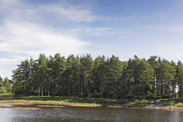 Fototapeta premium Northumberland landscape with lake and trees