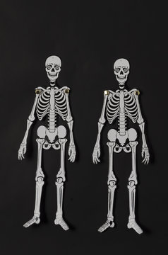 Paper skeletons against black background. Paper skeletons for Halloween decoration against black background
