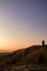 Fototapeta premium Silhouette of a girl admiring the sun setting on the colorful sky above the beach vegetation