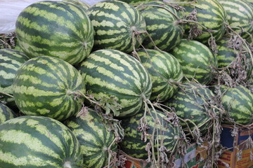 Green striped watermelons