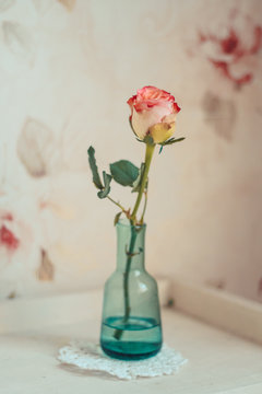 Delicate composition with flowers in a vase