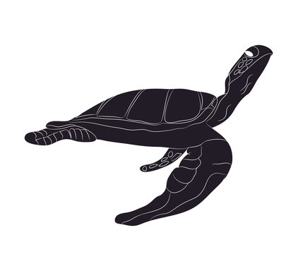 turtle swim figure silhouette, vector