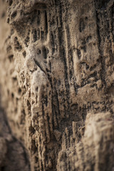 textures5