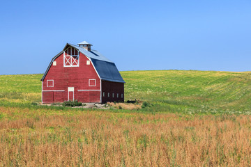 Classic red barn in field during summer.