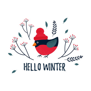 Vector Christmas / winter card with a cute bullfinch and cozy slogan. Christmas design. Hello winter.