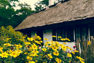 Wiejska chata © Bartosz