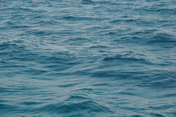 Red Sea diving during a boat trip to the coral riffs to diving and snorkeling