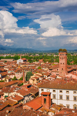 Lucca old  historic center skyline with medieval towers and clouds