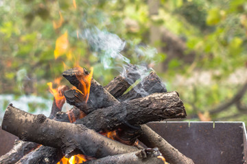 Flame campfire in the forest. Autumn leisure near the grill. The crackling of logs in the fire....