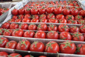 Red tomatoes at market
