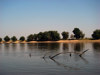 Natural geographic areas in the Danube Meadow, on Ostrov arm not far from Ostrov village on the bank of Dobrogea.