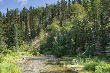 The Kingsmere River calmly flowing through a forest into rapids.