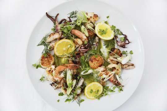 Close up of shrimp salad served on plate