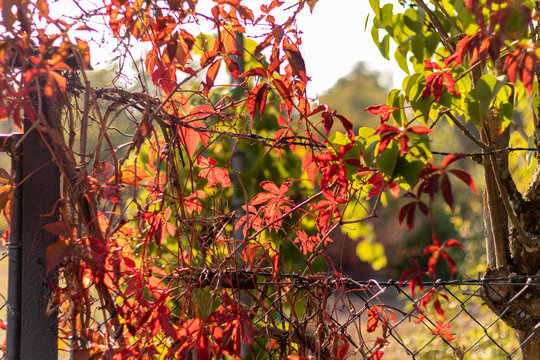 Herbstbeginn
