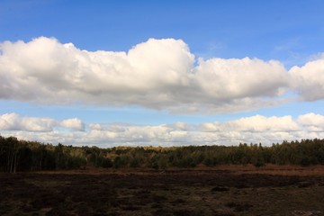 Kräftige Wolken über der Heide