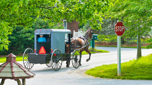 Amish Horse and Buggy going down the Road