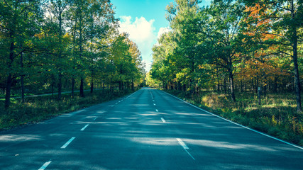 Fototapeta premium Road through the autumn forest at october.