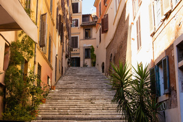 Fototapeta premium Typical vintage Italian street with ivy plant hanging off the walls and staircase.