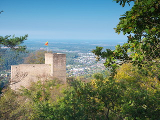Fototapeta na wymiar Altes Schloss über Baden-Baden